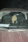 Аватар для Magnum